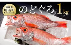 川谷水産厳選！のどぐろ(アカムツ)約１ｋｇ