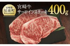 宮崎牛サーロインステーキ 400g (200g×2) 肉 牛 牛肉 宮崎牛