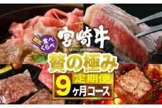 宮崎牛食べ比べ贅の極み ９ヶ月コース 肉 牛 牛肉 定期便