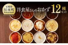 洋食屋さんのおかず 衝撃の12種セット ハンバーグ ドリア グラタン シチュー カレー チキン 鶏肉 レンチン おかず