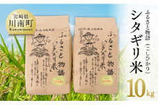 【令和7年産】宮崎県産こしひかり「シタギリ米」10kg（5kg×2）【 米 お米 白米 精米 国産 宮崎県産 こしひかり おにぎり 】