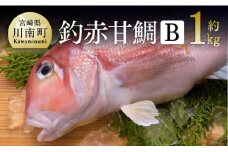『釣赤甘鯛 Ｂ』 D04409