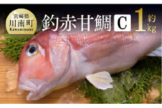 『釣赤甘鯛 C』 D04410