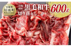 宮崎県産黒毛和牛 切り落とし ６００ｇ 【 肉 牛肉 黒毛和牛 精肉 】