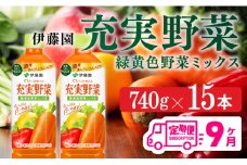 充実野菜 緑黄色野菜ミックスペットボトル　740g×15本　9ヶ月定期便