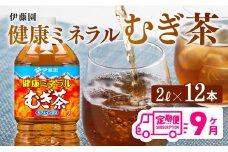 健康ミネラル むぎ茶2L×6本×2ケースPET [9ケ月定期便] 飲料類 お茶 麦茶