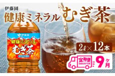 健康ミネラル むぎ茶2L×6本×2ケースPET [9ケ月定期便] 飲料類 お茶 麦茶