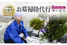 お墓掃除代行サービス(お供えの花代込み)川南町内【１回分】