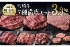 宮崎牛 満喫セット 7種 3.3kg 肉 牛 牛肉 国産 黒毛和牛