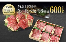 【特選】宮崎牛6種盛 焼肉食べ比べセット 肉 牛 牛肉 宮崎牛