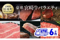 【定期便】 豪華！ 宮崎牛 バラエティ6ヶ月コース 肉 牛 牛肉 宮崎牛