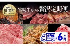 【定期便】 宮崎牛だけの 贅沢定期便 6ヶ月コース 肉 牛 牛肉 宮崎牛