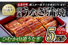 名店の味 国産鰻 宮崎県産うなぎ蒲焼５尾（ウナギ650ｇ以上） 【 国産 鰻 蒲焼き 】