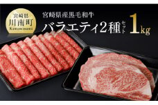 宮崎県産 黒毛和牛 バラエティ2種セット すき焼き ステーキ 赤身 霜降り 国産 牛肉 牛 肉 わけあり ウデ うで ロース スライス