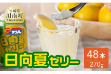 サンA 日向夏 ゼリー (270g缶×48本)【飲料 ゼリー飲料 ゼリー 日向夏果汁 ピューレ 缶 セット ジュース 長期保存 備蓄 送料無料】