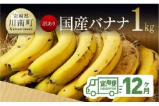 【訳あり】国産バナナ １ｋｇ【12ヶ月定期便】【 国産 バナナ 無農薬 フルーツ 果物 デザート 朝食 スムージー 宮崎県産 川南町 全12回 】