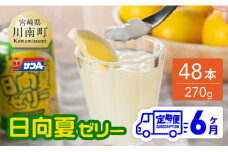  【6ヶ月 定期便 】サンA 日向夏ゼリー　缶（270g×48本）【 全6回 飲料 ゼリー飲料 ゼリー 日向夏果汁 ピューレ 缶 セット ジュース 長期保存 備蓄 送料無料】