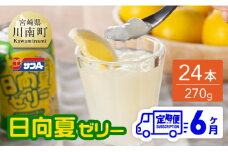 【6ヶ月 定期便 】サンA 日向夏ゼリー 缶（270g×24本）【 全6回 飲料 ゼリー飲料 ジュース ゼリー 日向夏果汁 ピューレ 缶 セット 長期保存 備蓄 送料無料】