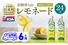 【6ヶ月 定期便 】サンA宮崎育ちのレモネード500mlＰＥＴ　24本入り【 全6回 飲料 栄養機能食品 レモン 檸檬 マルチビタミン配合 PET セット ジュース 長期保存 備蓄 送料無料】