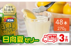  【3ヶ月 定期便 】サンA 日向夏ゼリー　缶（270g×48本）【 全3回 飲料 ゼリー飲料 ゼリー 日向夏果汁 ピューレ 缶 セット ジュース 長期保存 備蓄 送料無料】