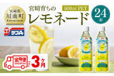 【3ヶ月定期便】サンA宮崎育ちのレモネード500mlＰＥＴ　24本入り【 全3回 飲料 栄養機能食品 レモン 檸檬 マルチビタミン配合 PET セット ジュース 長期保存 備蓄 送料無料】