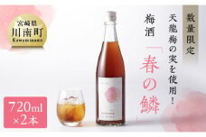 【数量限定】天龍梅の実を使用！オリジナル梅酒「春の鱗」（720ml×2本）【 お酒 アルコール 酒 梅酒 】