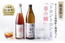 【数量限定】オリジナル本格焼酎「トロントロン(25度)」と梅酒「春の鱗」のセット【 お酒 アルコール 酒 焼酎 】