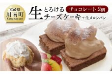 『押川春月堂本店』とろける生チーズケーキセット（チョコ×２個） 【 ケーキ チーズケーキ お菓子 スイーツ 】
