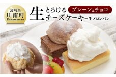 『押川春月堂本店』とろける生チーズケーキセット（プレーン＆チョコ）  【 ケーキ チーズケーキ お菓子 スイーツ 】