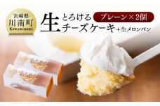 『押川春月堂本店』とろける生チーズケーキ（プレーン2個）  【 ケーキ チーズケーキ お菓子 スイーツ 】