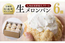 『押川春月堂本店』生メロンパン6個