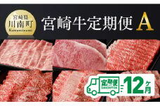 【定期便】宮崎牛12ヶ月定期便A (肩ローススライス/ロースステーキ/ウデスライス/モモ焼肉/肩ロース焼肉/バラ焼肉)【 国産 九州産 肉 牛 宮崎県産 牛肉 黒毛和牛 ミヤチク 全12回 】