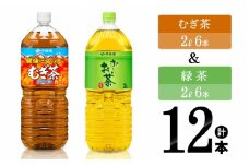 伊藤園 むぎ茶（2L）＆緑茶（2L）(PET）12本 【伊藤園 飲料類 お茶 麦茶 緑茶 PET セット 詰め合わせ 飲みもの】