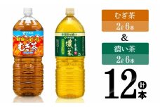 伊藤園 むぎ茶（2L）＆濃い茶（2L）(PET）12本 【伊藤園 飲料類 麦茶 お茶 濃い茶 緑茶 PET セット 詰め合わせ 飲みもの】