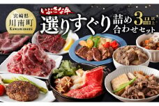 いぶさな牛 選りすぐり 詰め合わせセット 【 肉 牛肉 精肉 いぶさな牛 国産 九州産 宮崎県産 】
