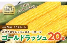 みやざきフレッシュスイートコーン 「ゴールドラッシュ」20本 【 新鮮 朝どれ 農家直送 トウモロコシ 産地直送 期間限定 数量限定 真空予冷 JA 】