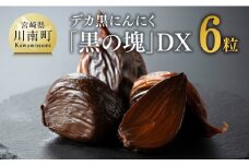デカ黒にんにく「黒の塊」DX６粒【にんにく 国産 九州産 宮崎県産 発酵ニンニク 送料無料】