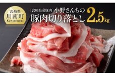 宮崎県産豚肉 小野さんちの豚肉 切り落とし 2.5kg 【 豚肉 豚 肉 宮崎県産 小分け パック 便利 和洋中 】