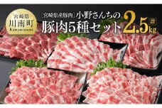 宮崎県産豚肉 小野さんちの"豚肉５種セット” 2.5kg 【 豚肉 豚 肉 宮崎県産 しゃぶしゃぶ 焼肉 セット 和洋中 】