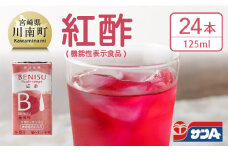 サンA 紅酢 （機能性表示食品）紙パック 24本【 国産 九州産 宮崎県産 梅 紅酢 ドリンク 飲料 酢 】