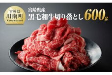 宮崎県産 黒毛和牛 切り落とし 600g【 肉 牛肉 牛 宮崎牛 炒め物 2パック 日本ハム 】