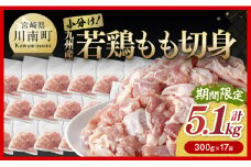 企業努力により実現！ 若鶏もも切身 計5.1kg(4.8kg(300g×16袋)+300g) 【 国産 鶏肉 肉 とり もも肉 モモ 5.1kg からあげ 唐揚げ チキン南蛮 送料無料 】