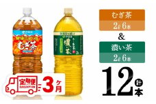 【3ヶ月定期便】伊藤園 むぎ茶（2L）＆濃い茶（2L）(PET）12本 【 飲料類 麦茶 お茶 濃い茶 緑茶 PET セット 詰め合わせ 飲みもの 全3回 】