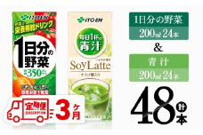 【3ヶ月定期便】1日分の野菜＆青汁（紙パック）48本 【 飲料類 野菜 青汁 野菜 ジュース セット 詰め合わせ 飲みもの 全3回 】