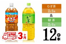 【3ヶ月定期便】伊藤園 むぎ茶（2L）＆緑茶（2L）(PET）12本 【 飲料類 お茶 麦茶 緑茶 PET セット 詰め合わせ 飲みもの 全3回 】