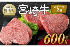 宮崎牛 ステーキ 2種 600g【肉 牛肉 国産 宮崎県産 宮崎牛 黒毛和牛 和牛 ステーキ BBQ 4等級  A4ランク ロース モモ E11118】