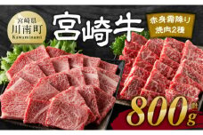 宮崎牛赤身霜降り焼肉2種 800g【肉 牛肉 国産 宮崎県産 宮崎牛 黒毛和牛 和牛 焼肉 BBQ 4等級  A4ランク 肩ロース ウデ モモ E11124】
