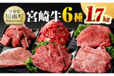 宮崎牛６種 詰め合わせ 1.7kg 【 肉 牛肉 宮崎牛 黒毛和牛 ロースステーキ ウデ 肩ロース チマキ ネック カルビ 焼肉 ミヤチク 】