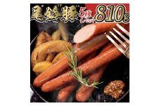 【PREMIUM PORK】尾鈴豚ハム・ソーセージ 詰め合わせ ５種 Cセット【 数量限定 肉 豚肉 ぶた 豚 国産 九州産 宮崎県産 ウインナ― ハム 生ハム ソーセージ 加工品 】