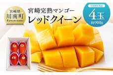 【令和8年発送】宮崎県産完熟マンゴー　「レッドクイーン」4玉(900g) 【 果物 フルーツ マンゴー 宮崎県産 完熟マンゴー みやざきマンゴー 先行予約 数量限定 期間限定 】